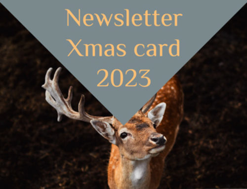 Newsletter – Xmas card 2023